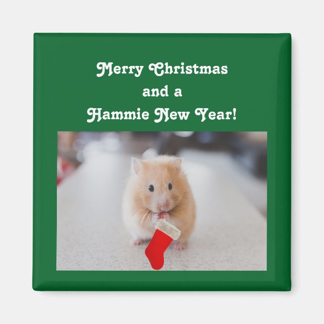 Aimant Hamster de Noël (Devant)