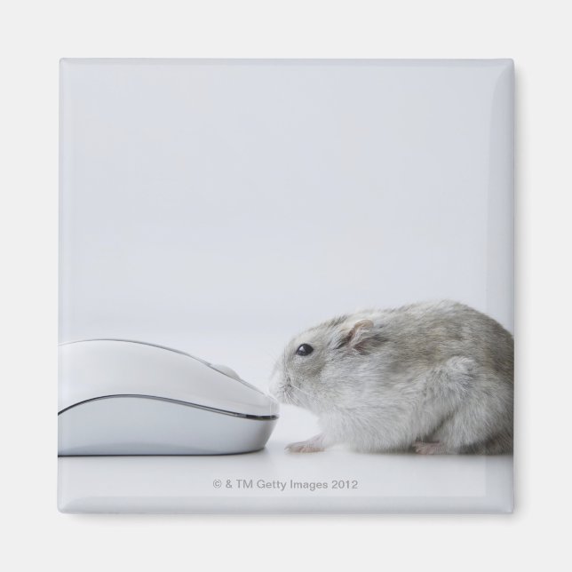 Aimant Hamster et souris d'ordinateur (Devant)