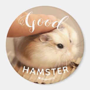 Aimant Hamter mignon étant un bon hamster