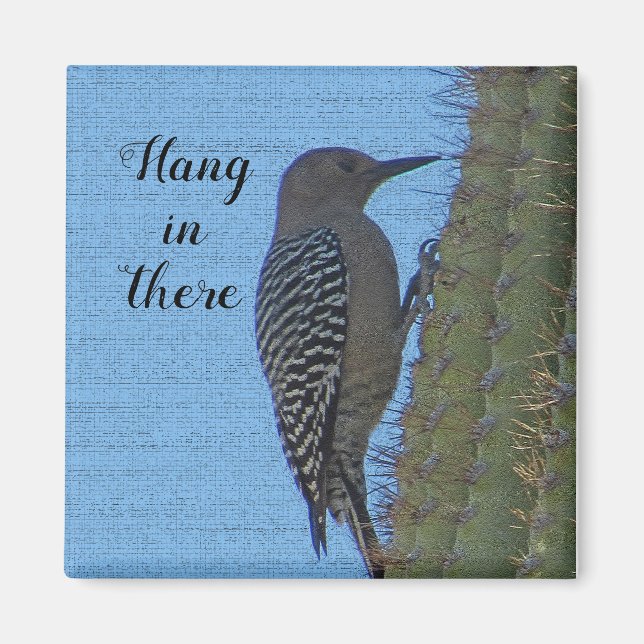 Aimant Hang in There Encourageant Pic et Cactus (Devant)
