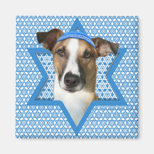 Aimant Hanoukka Star of David - Whollie - Coney