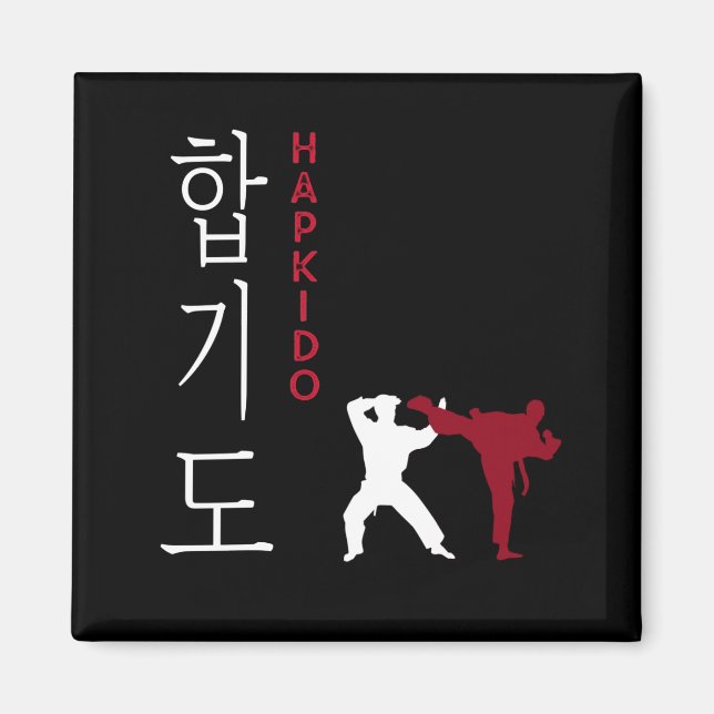 Aimant Hapkido Arts martiaux coréens (Devant)