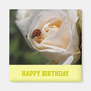 Aimant Happy birthday. Beautiful white rose flower