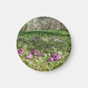 Aimant Harbinger du printemps