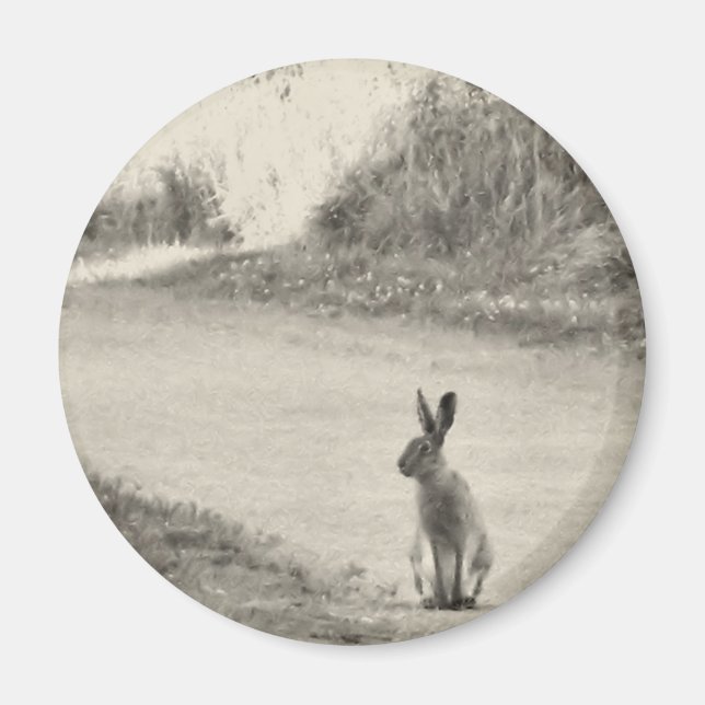 Aimant Hare aujourd'hui (Devant)