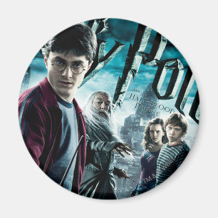 Aimant Harry Potter avec Dumbledore Ron et Hermione 1
