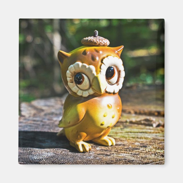 Aimant Harvey the Owl III (Devant)