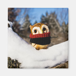 Aimant Harvey the Owl IV