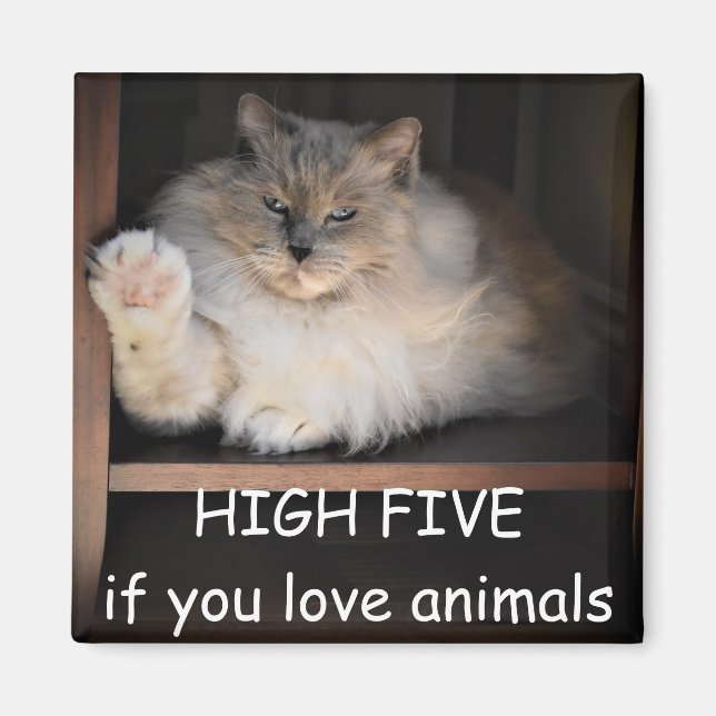 Aimant HAUT CINQ si vous aimez les animaux, (Devant)