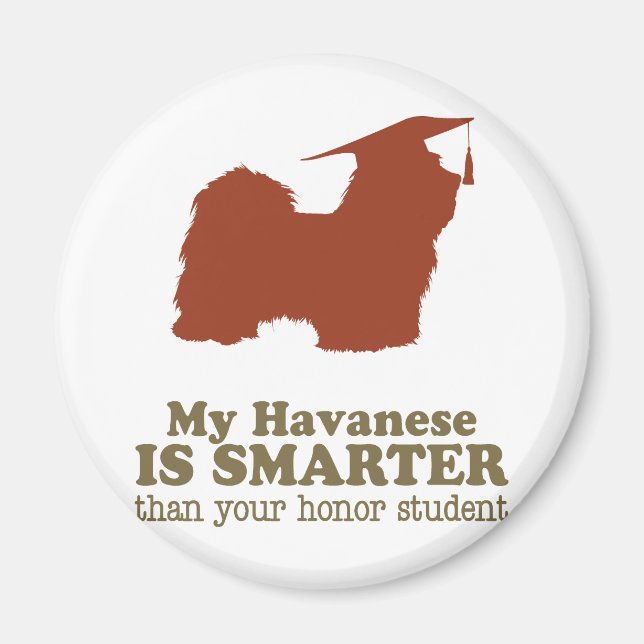 Aimant Havanais (Devant)