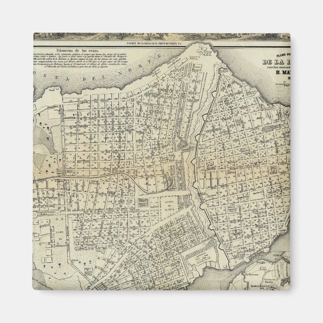 Aimant Havane (Devant)