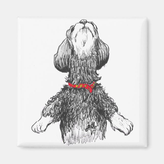 Aimant Havanese Happiness - Dancing pup! (Devant)