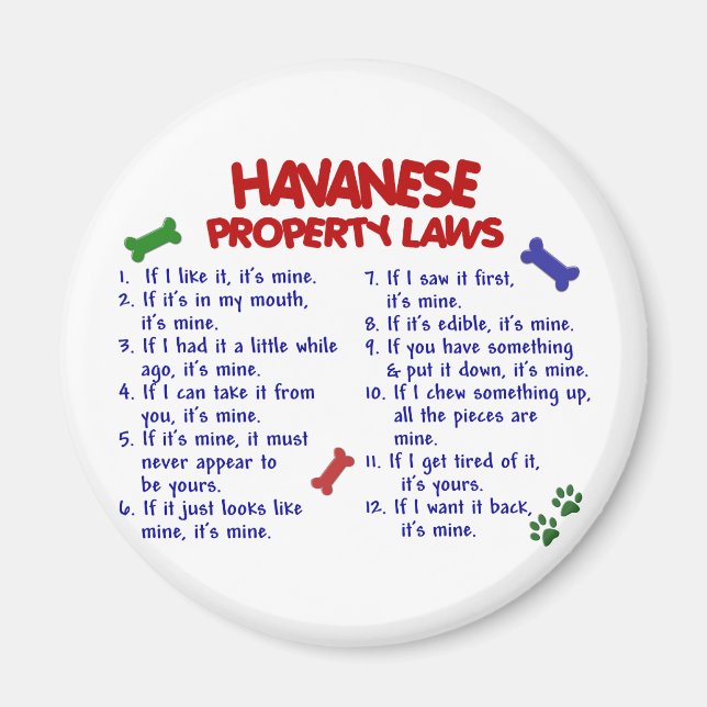 Aimant HAVANESE, lois sur la propriété 2 (Devant)