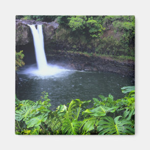 Aimant Hawaï, Big Island, Hilo, Rainbow Falls, Lush