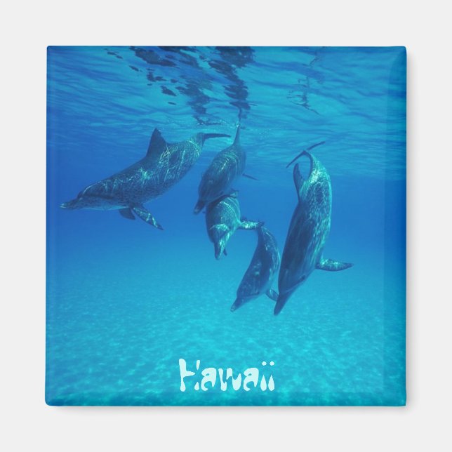 Aimant Hawaii (Devant)