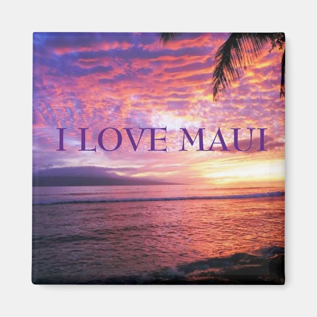 AIMANT HAWAII ALOHA COLLECTION (Devant)
