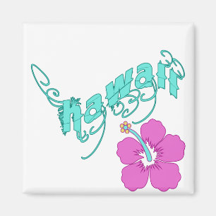 Aimant Hawaii avec des produits Hibiscus