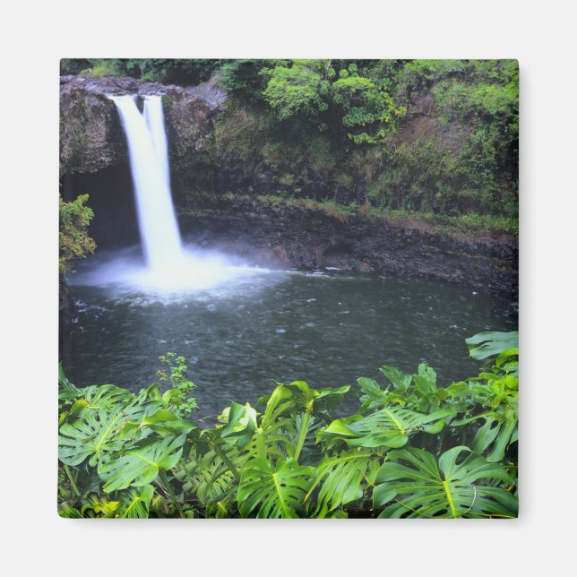 Aimant Hawaii, Big Island, Hilo, Rainbow Falls, Lush (Devant)