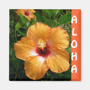 Aimant Hawaii Hibiscus Aloha