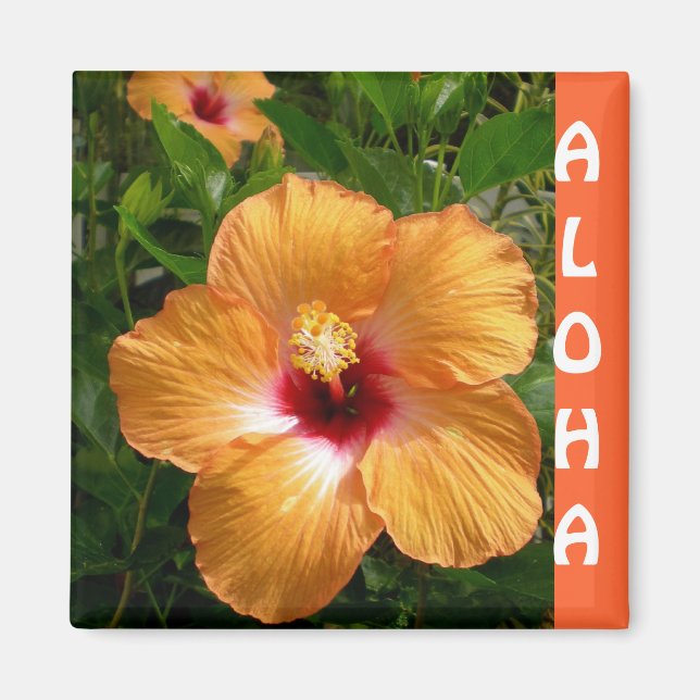 Aimant Hawaii Hibiscus Aloha (Devant)