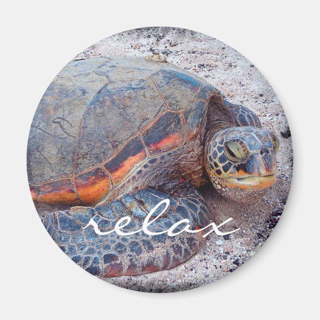 Aimant Hawaii honu tortue de mer tropicale photo relax sc (Devant)