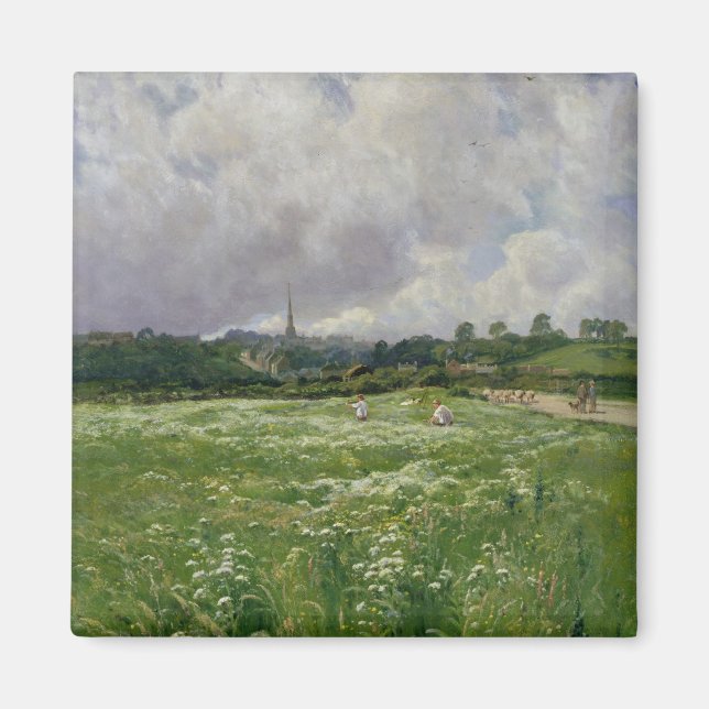 Aimant Haymaking (Devant)