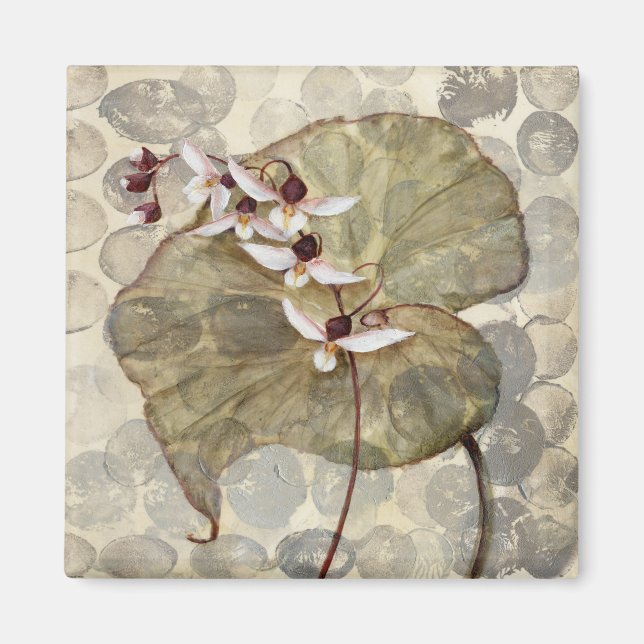 Aimant HAZ24 Amazonia 2.tif (Devant)