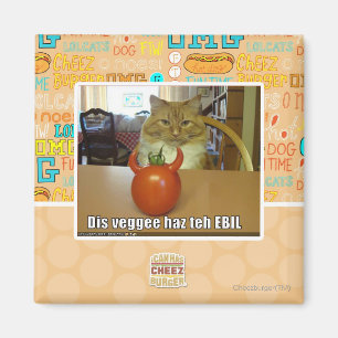 Aimant Haz de veggee de DIS l'EBIL