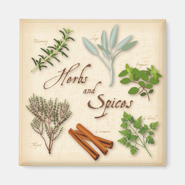 Aimant Herbes et épices (Devant)