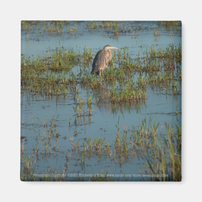 Aimant Heron 6937 (Devant)