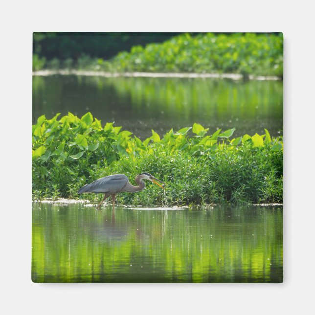 Aimant Heure du repas de la langouste (Devant)