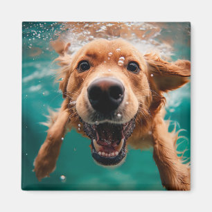 Aimant Heureux Golden Retriever Nageant Sous L'eau