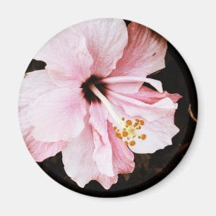 Aimant Hibiscus
