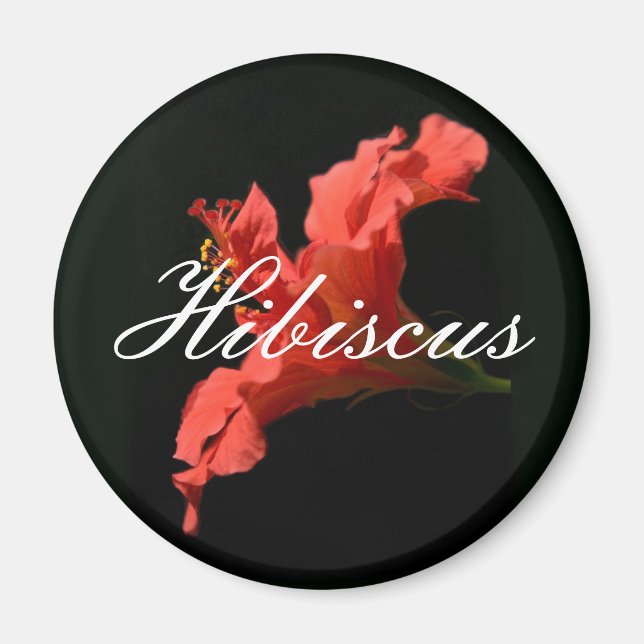 Aimant Hibiscus (Devant)