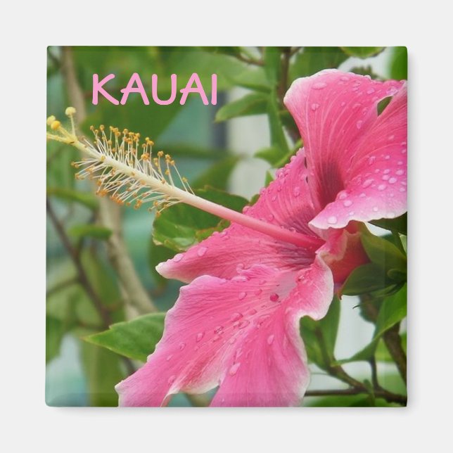 Aimant Hibiscus des fleurs tropicales hawaïennes de Kauai (Devant)