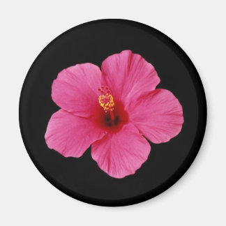Aimant Hibiscus rose