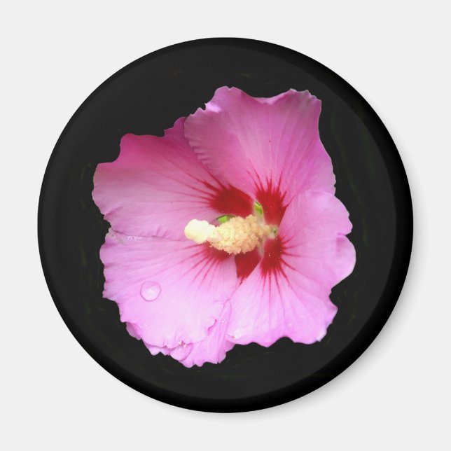 Aimant Hibiscus rose (Devant)