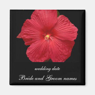 Aimant Hibiscus rouge
