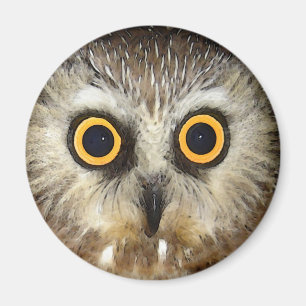 Aimant hibou