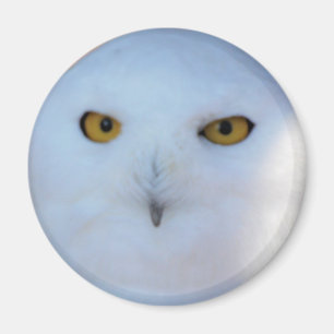 Aimant Hibou de Milou