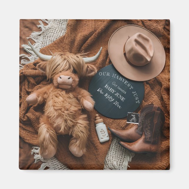 Aimant Highland Cow Grossesse agricole rustique faire-par (Devant)