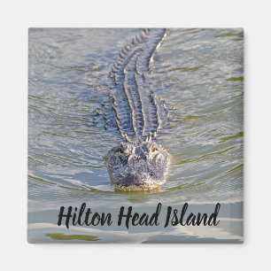 Aimant Hilton Head Alligator
