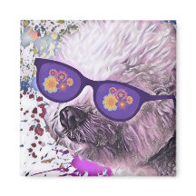 Hippie 'Chon l'aimant Bichon