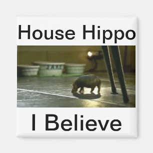 Aimant Hippo