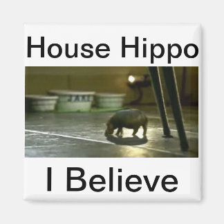 Aimant Hippo