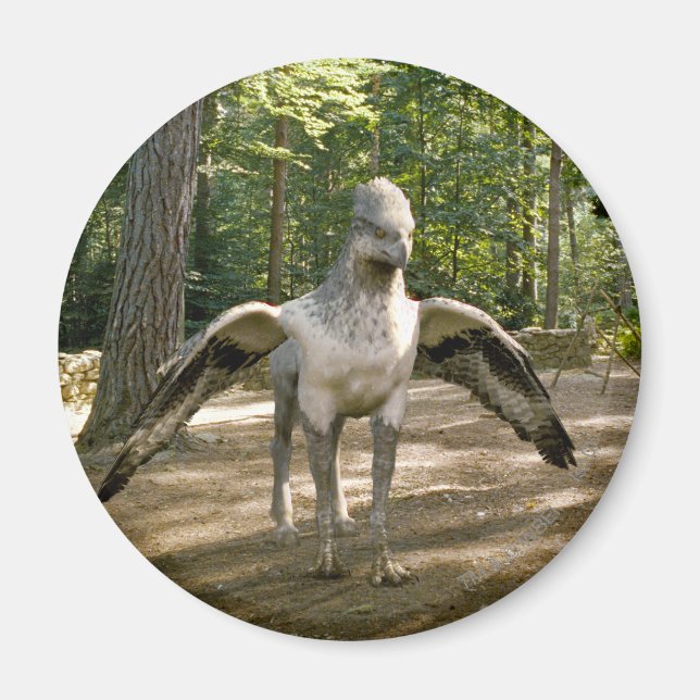Aimant Hippogriff (Devant)