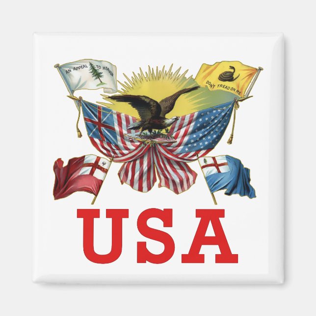 Aimant Histoire des drapeaux américains sur un tee-shirt (Devant)