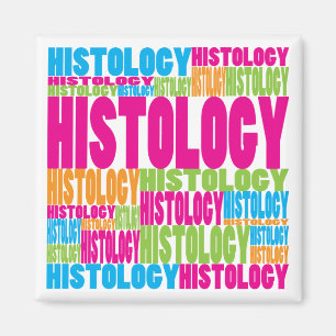 Aimant Histologie colorée