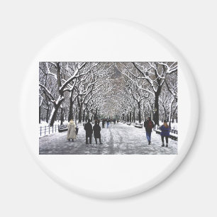 Aimant Hiver dans le Central Park NYC