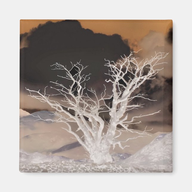 AIMANT HIVER DE LA MONTAGNE (Devant)